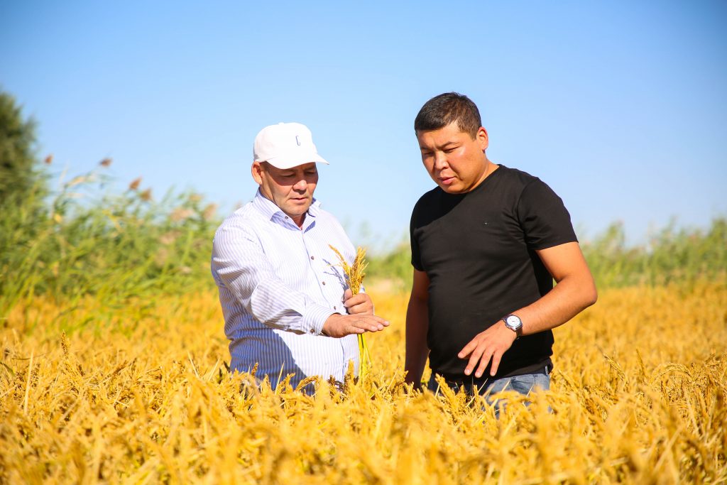 Өңірге өзгеше өң берген өркенді жылдар жемісі