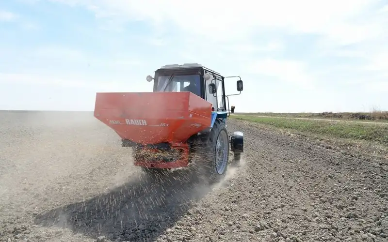 Су жетіспеуіне байланысты Сыр өңірі күріш өсіруді азайтып жатыр