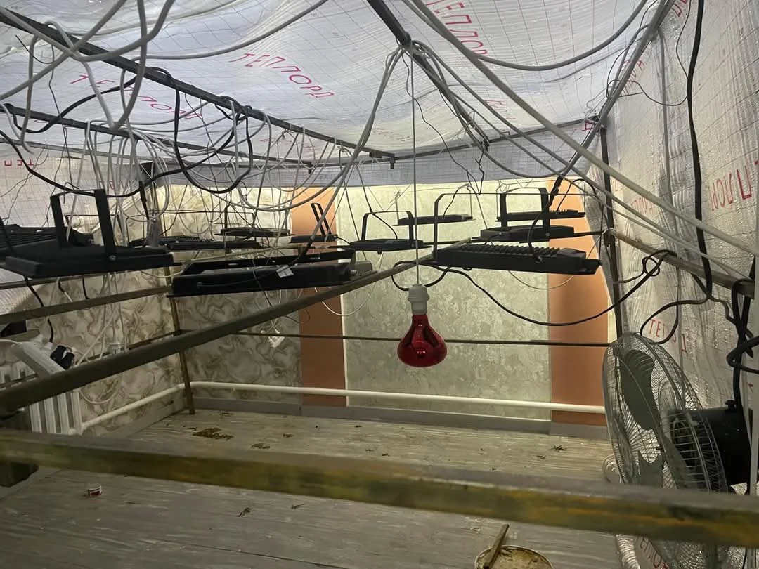 Есірткіге қарсы ымырасыз күрес