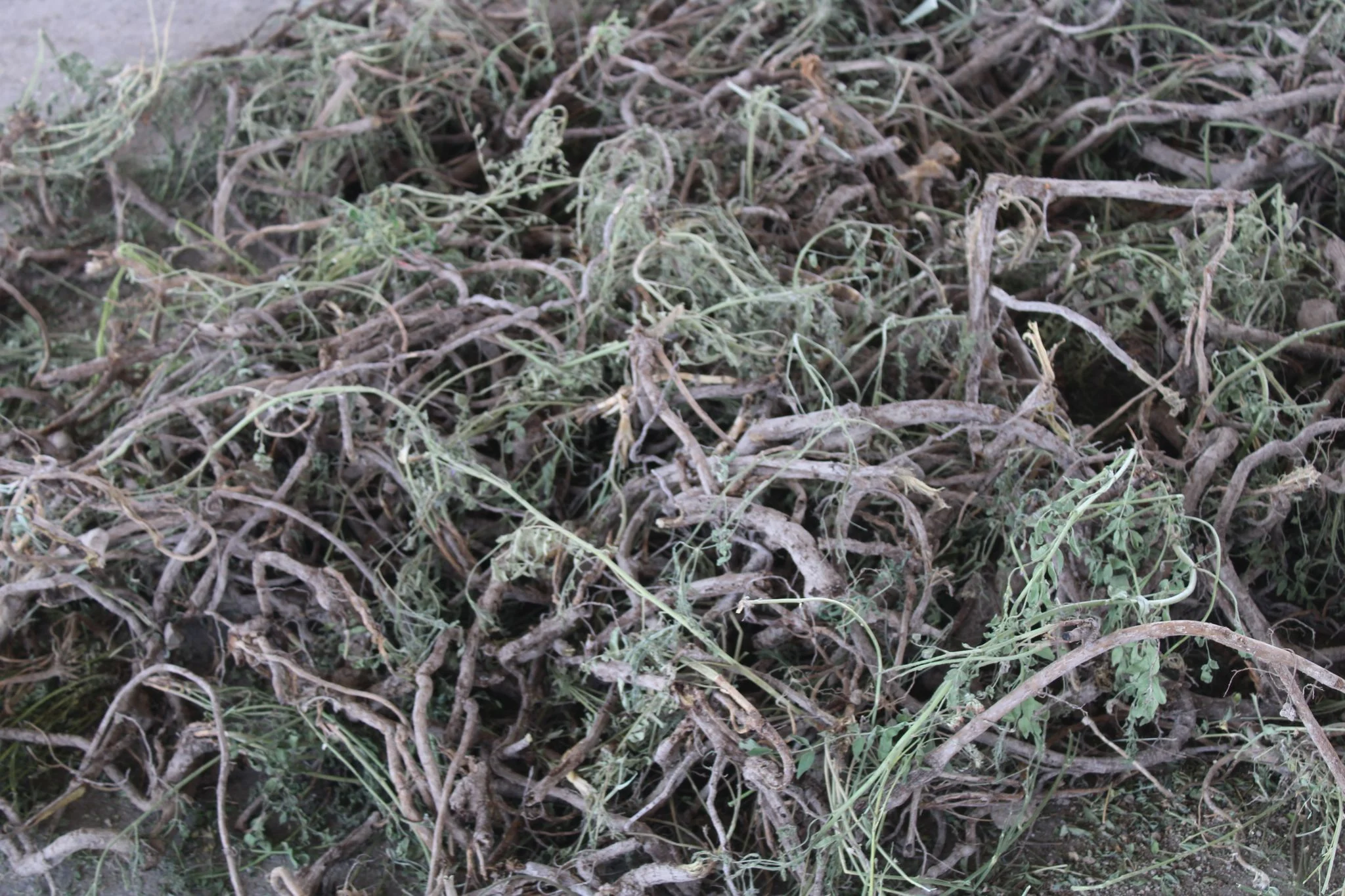 «Мия: Шикізаттан тыңайтқышқа дейін»