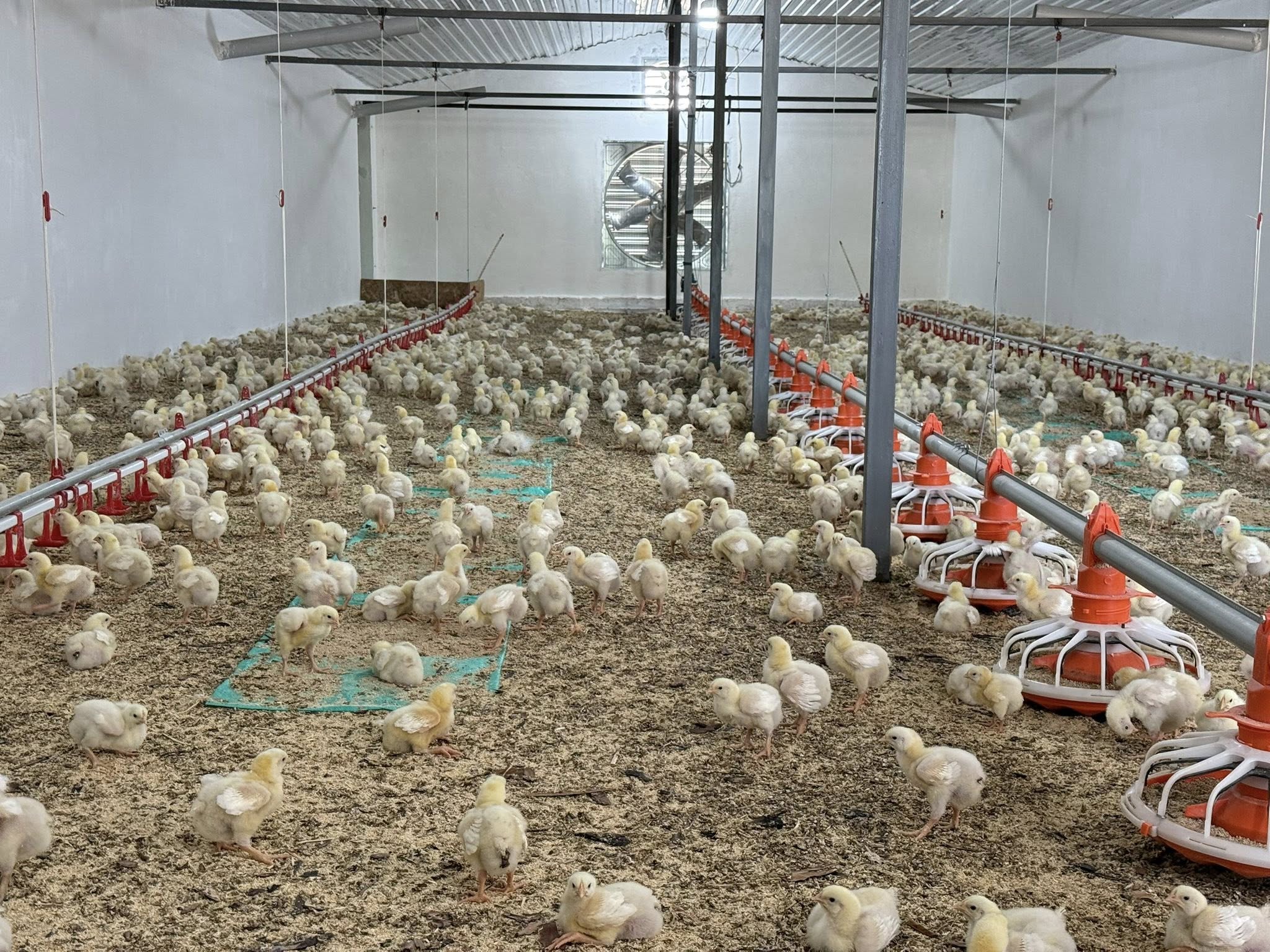 Өңірдегі өндірістік кәсіпорындардың табысты үлгісі