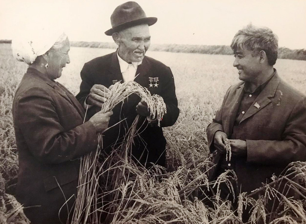 Көңілден көшпес кемелдік