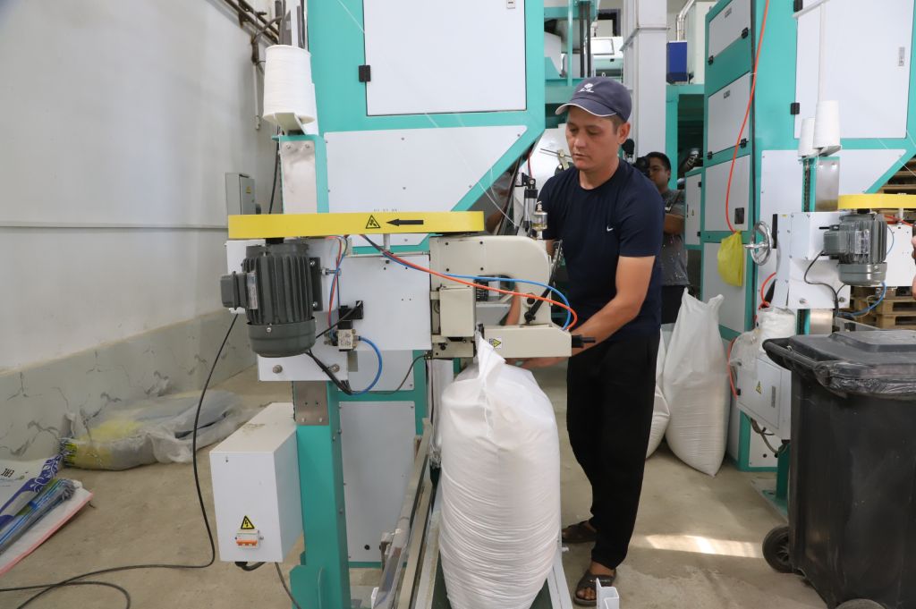 Жаңғырудың жарқын іздері