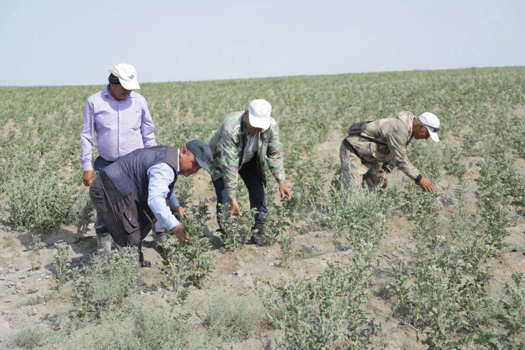 Еңбегін ел таныған «Ер-Әлі»