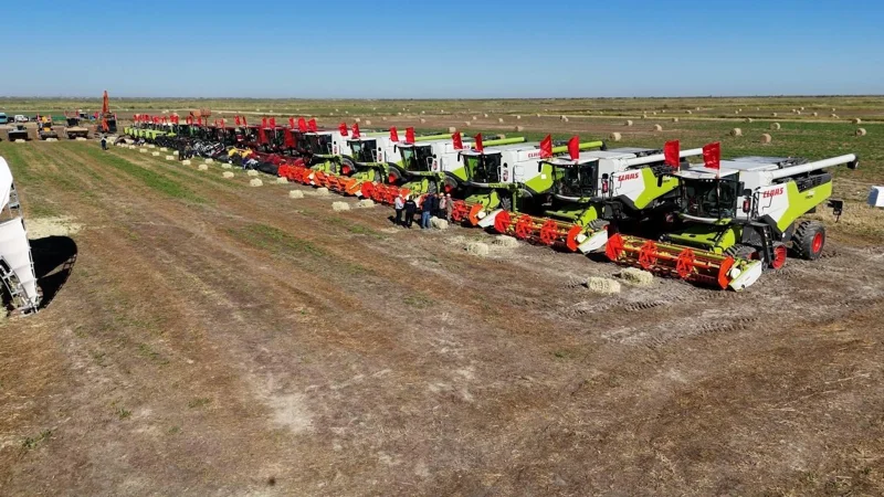 «Дала күні – 2025»: Күрішке алғашқы орақ салу рәсімі өтті