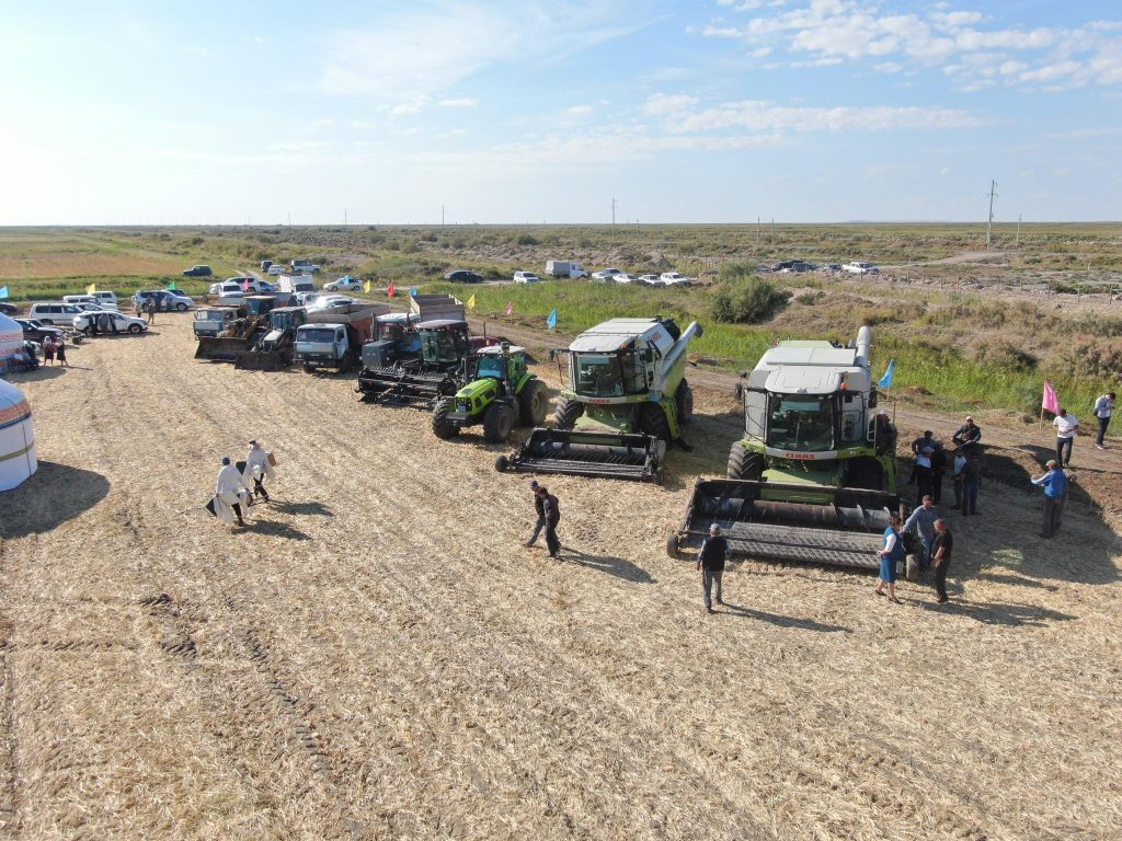 «Дала күні – 2025»: Қазалыда егінге алғашқы орақ түсті