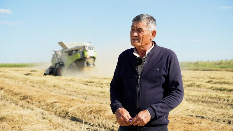 «Кең дала» және «Кең дала 2» бағдарламасы: Сыр өңіріндегі диқандарға қолдау