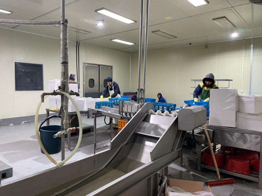 Ауданда кәсіпкерлік саласы қанат жайып келеді