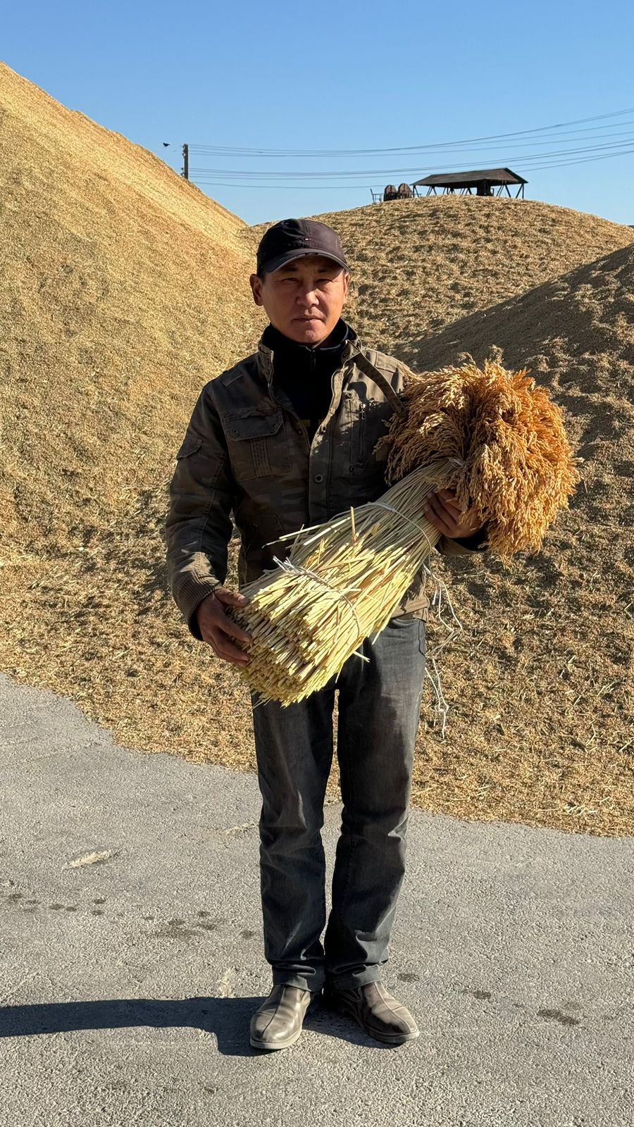 Озат күрішші