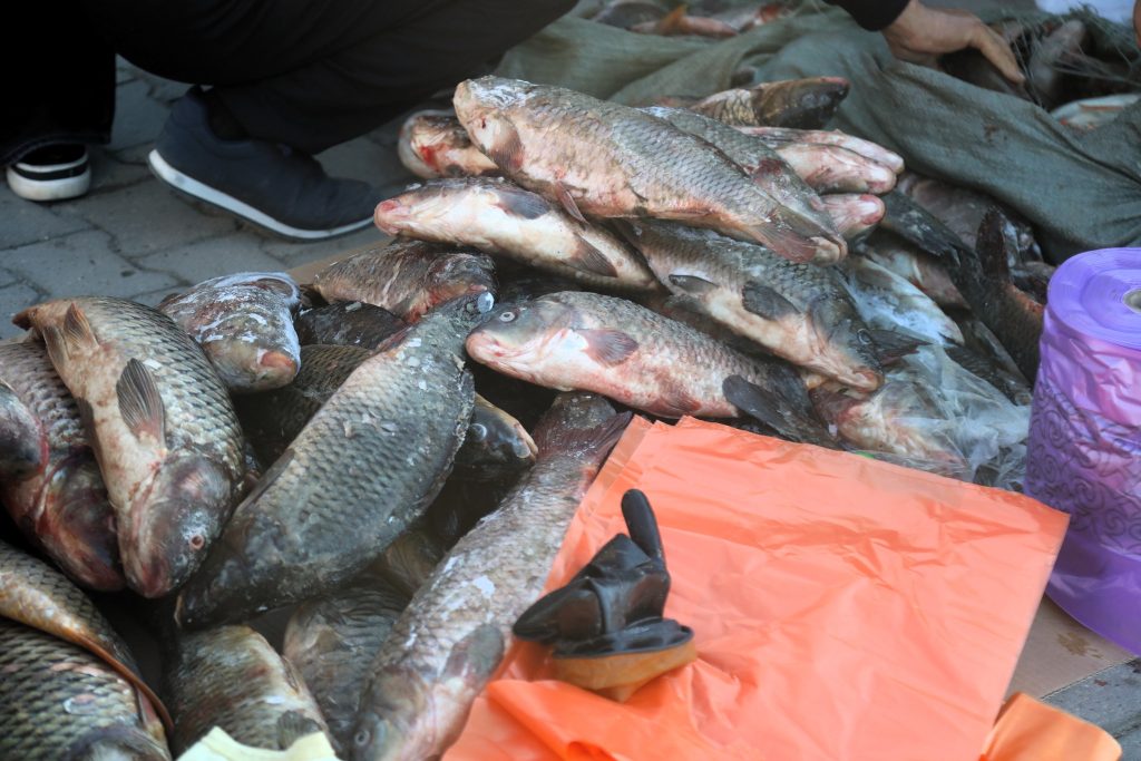 Алтын күздің берекелі базары