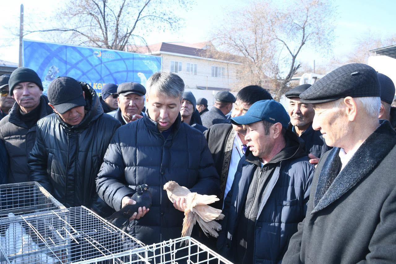 Қазалыда көгершіндер көрмесі өтті