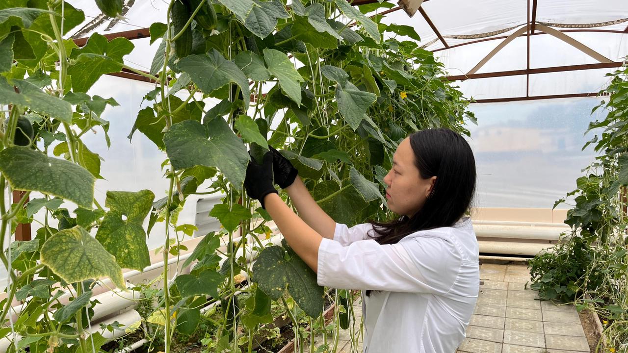 Еңбекті дәріптеу елдікті нығайтады