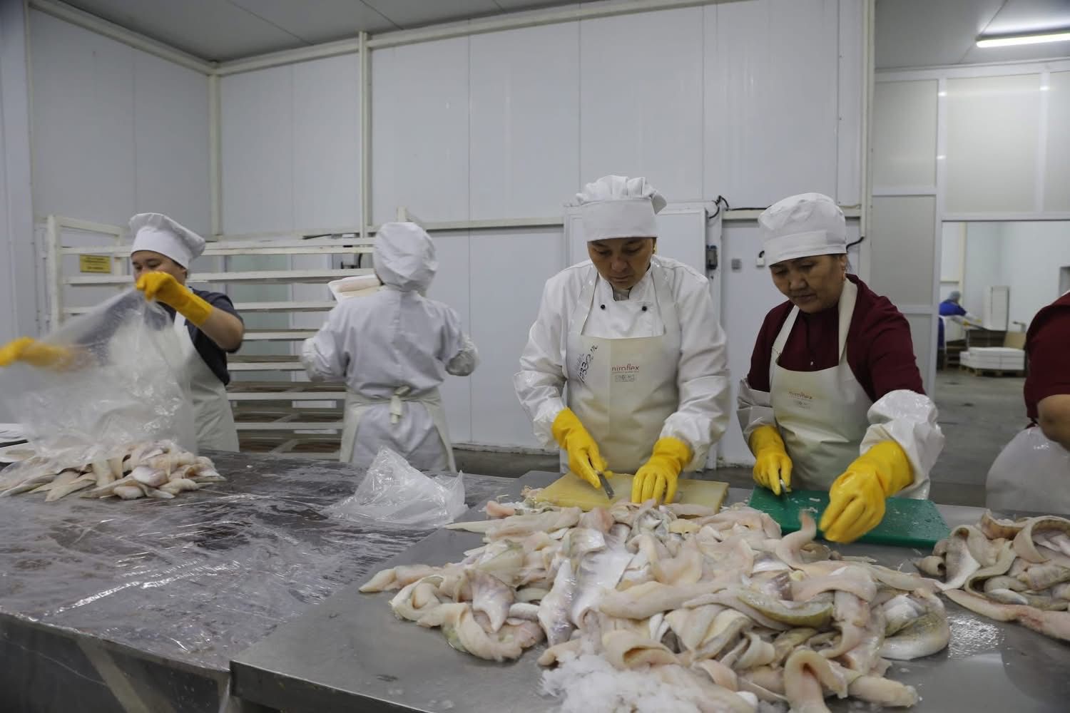 Балық шаруашылығындағы басымдық