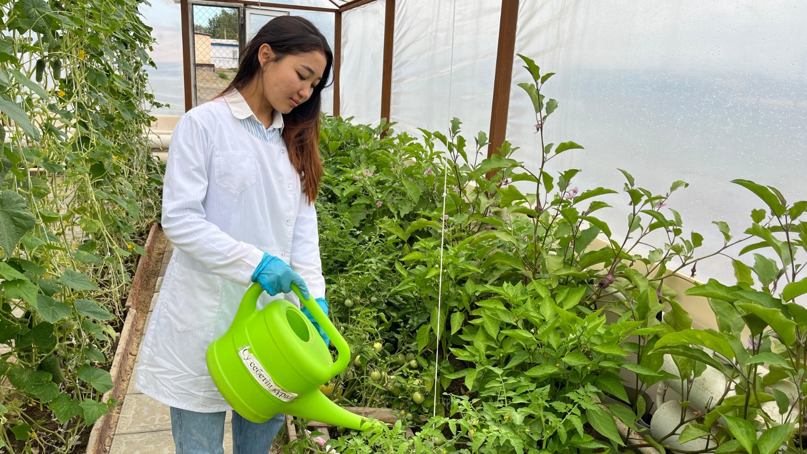 Кәсіптік білімнің көкжиегін кеңейткен