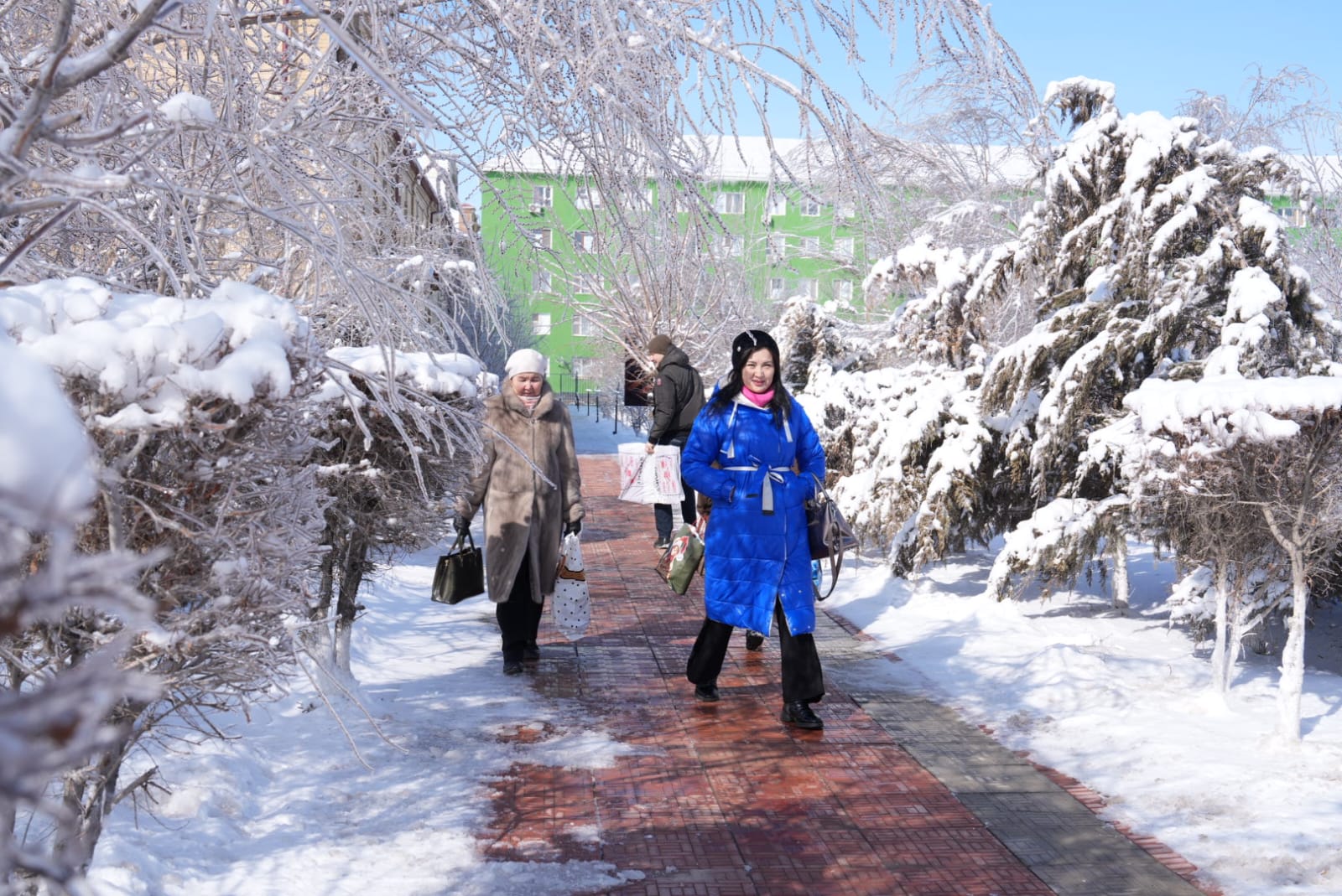 Ақпанның әлегі