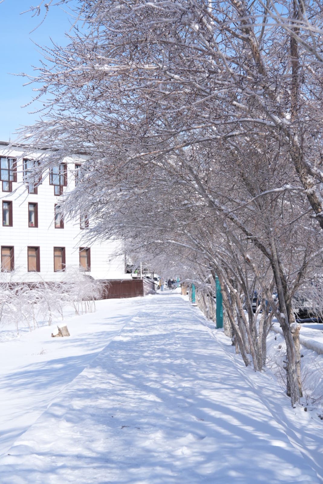 Ақпанның әлегі