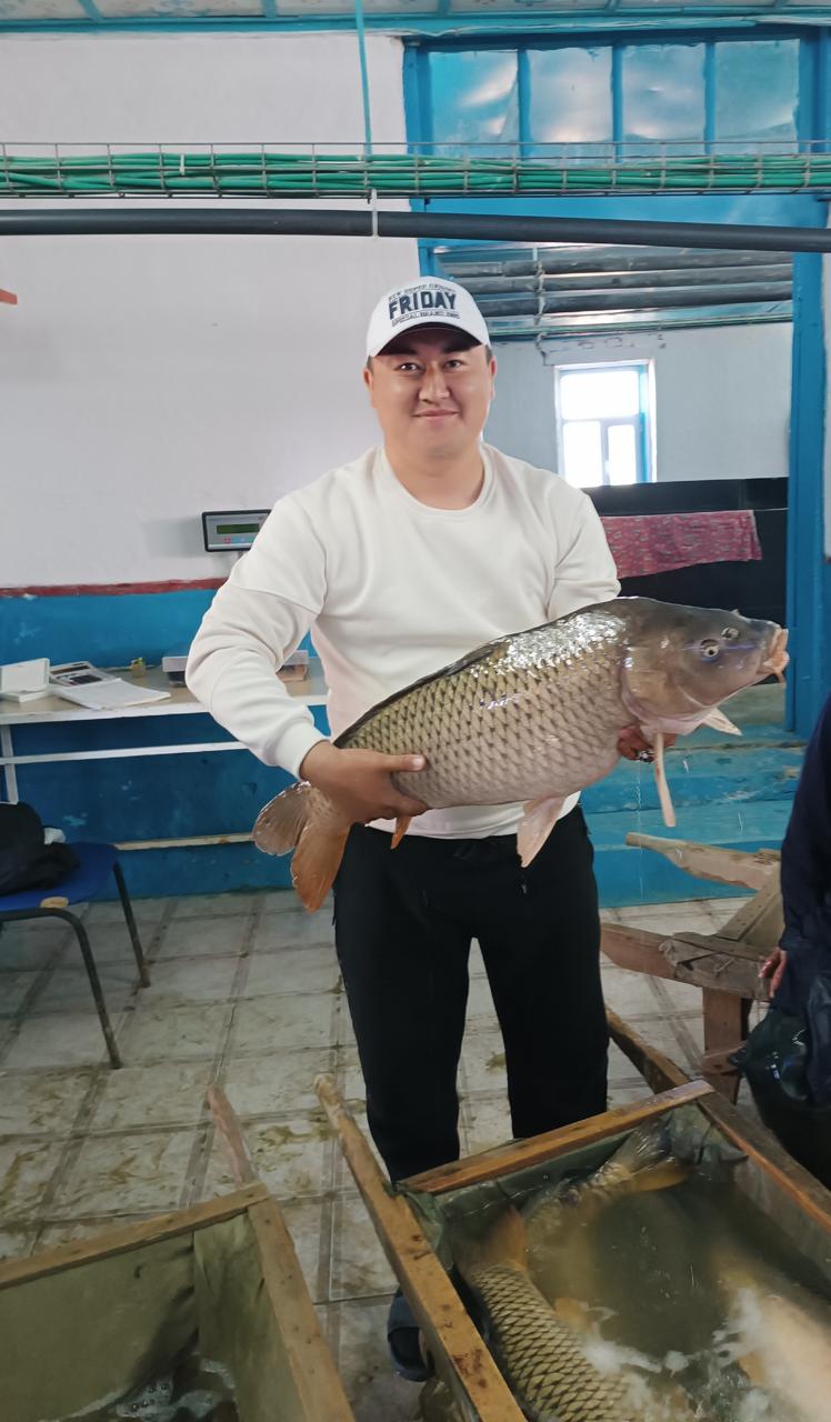 Аквашаруашылық: Балық бағу бейнет пе, әлде...