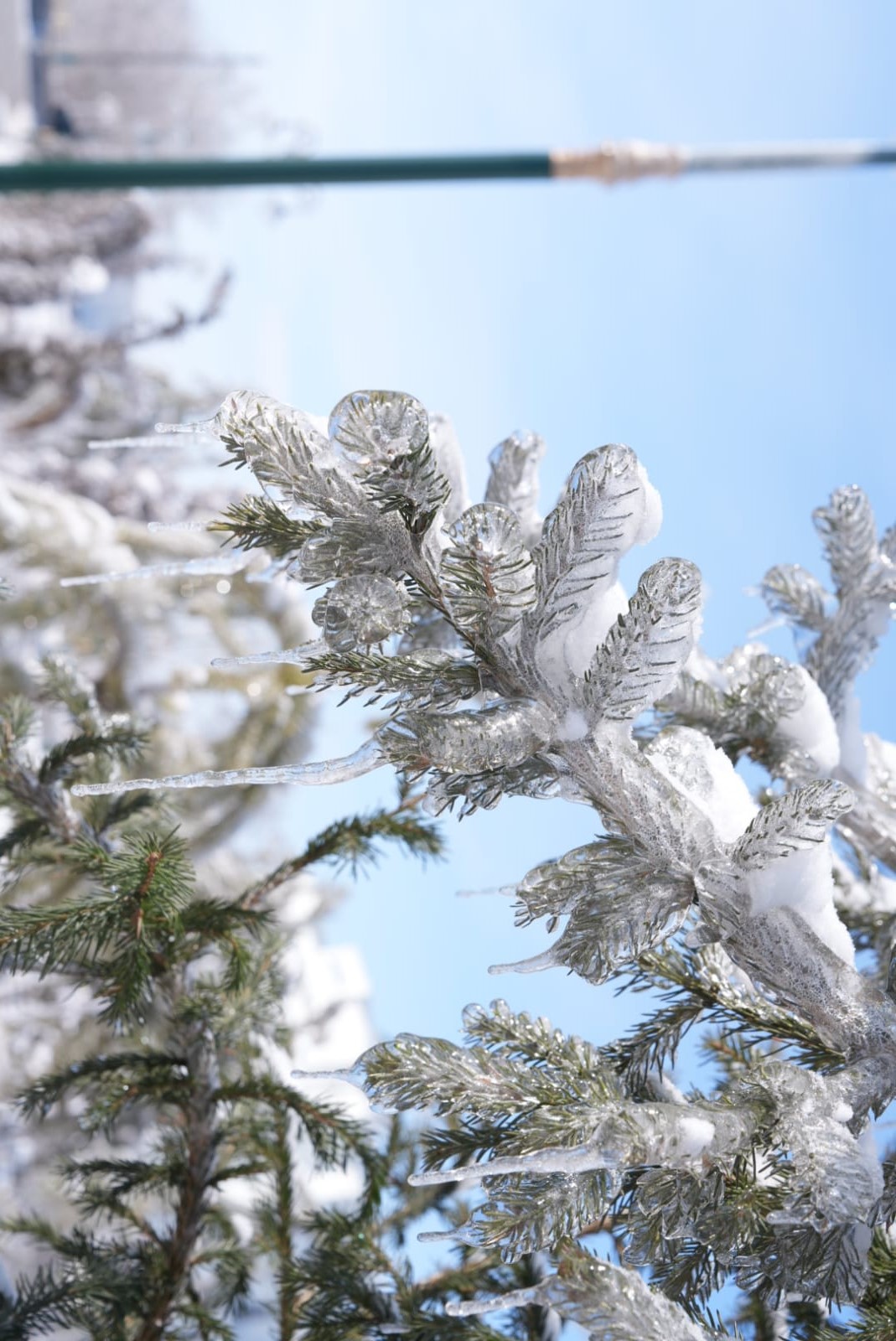 Ақпанның әлегі