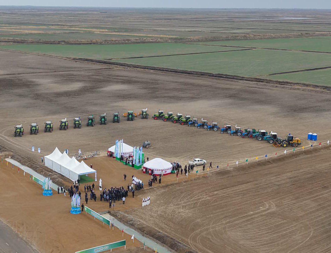 Сыр өңірінде егін алқабына алғашқы дән себілді