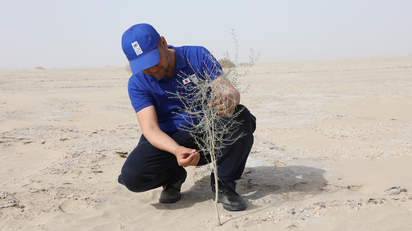 Арал тағдыры: құрғаған табаннан жасыл белдеуге дейін
