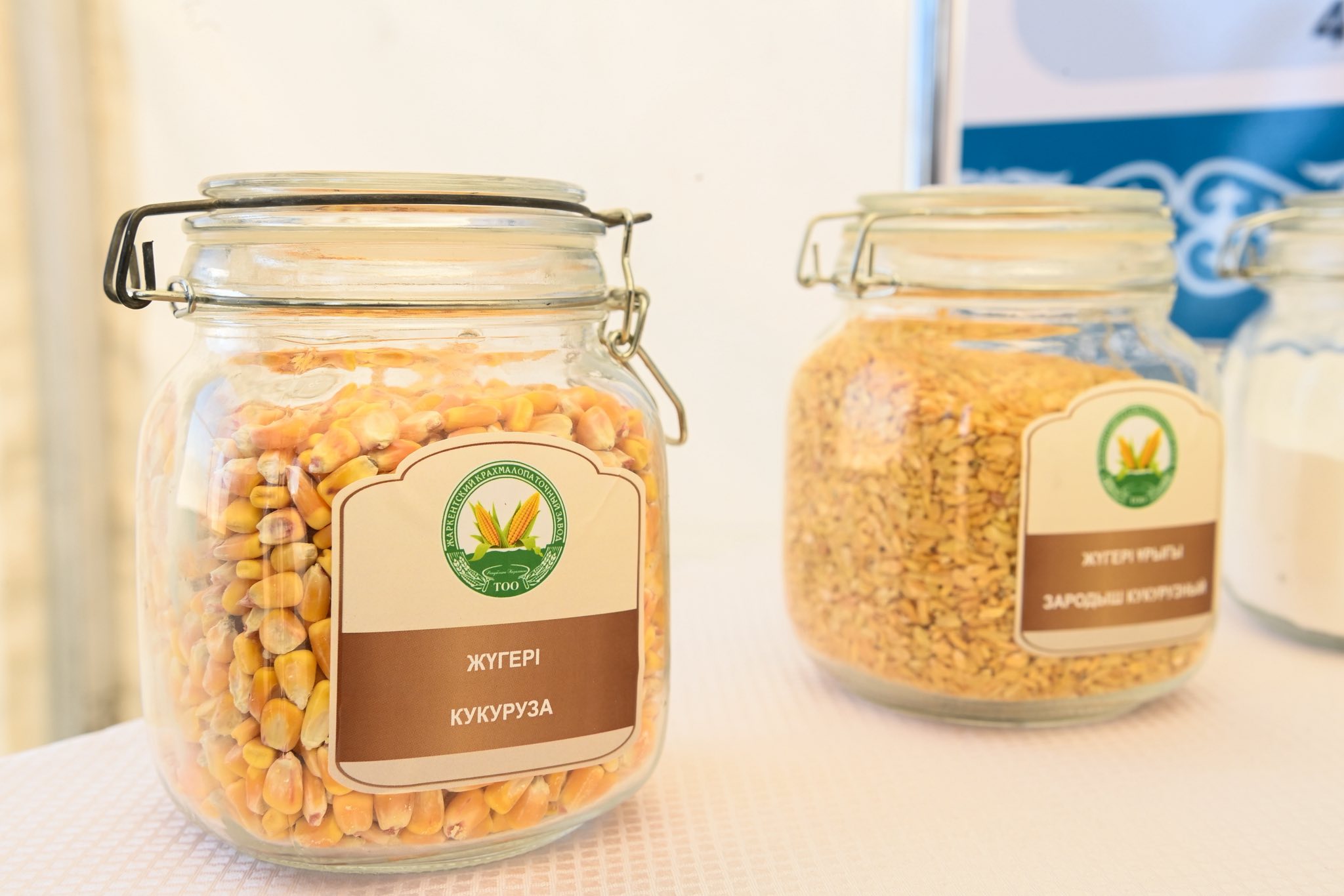 Сырдария ауданында жүгері дақылын терең өңдеу зауытының құрылысы басталды