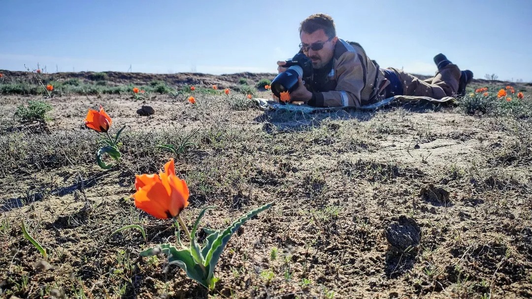 Макроәлем арқылы ашылған табиғат құпиясы