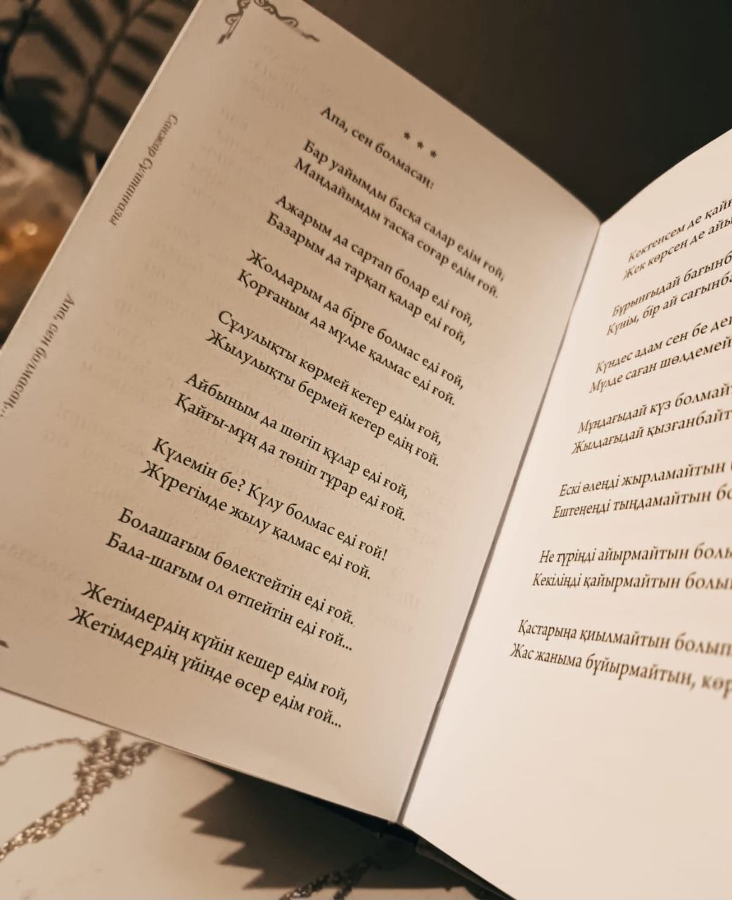 Санжар Сұлтанғазы: «Апа, сен болмасаң...» кітабы жарық көрді
