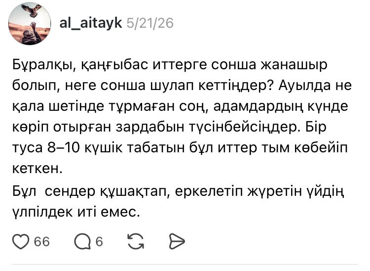 Бұралқы иттер мәселесі: қоғам пікірі неге екіге бөлінді?