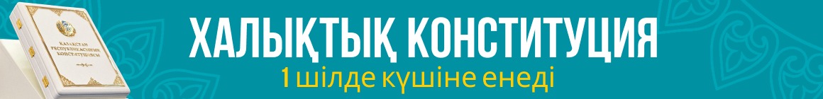 Конституция
