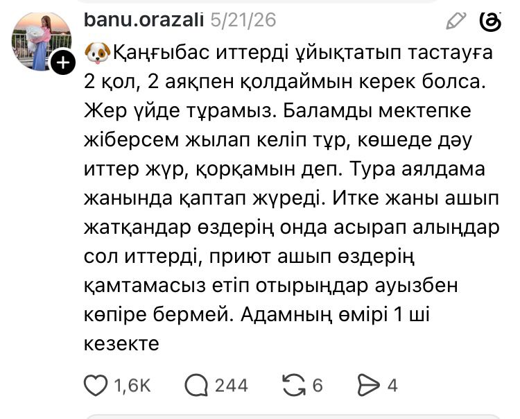 Бұралқы иттер мәселесі: қоғам пікірі неге екіге бөлінді?