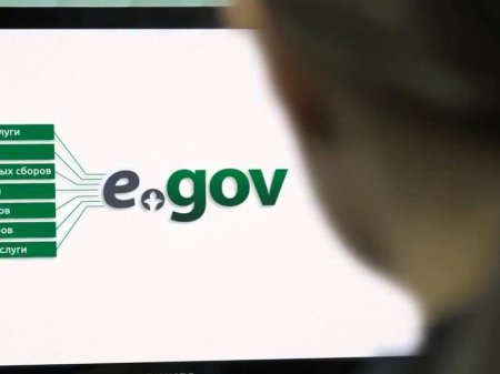 Жеке тұлғалардың жазбаларын тексеру қызметі eGov.kz порталында іске қосылды