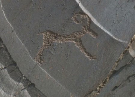 Қызылорда облысындағы Сауысқандық петроглифтерін кешенді зерттеу қажет