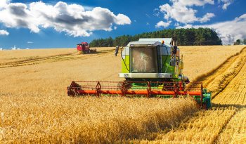 Агросектордың  экспорттық  әлеуеті арта түсуде