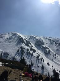 Алматыға келген қызылордалық ерлі-зайыптылар адасып кетті