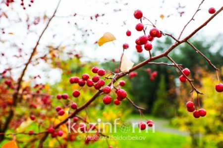 Сәрсенбіде Қазақстанның басым бөлігінде ауа-райы жауын-шашынсыз болады