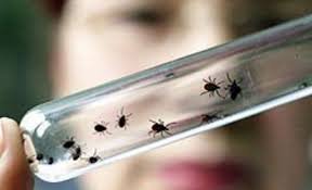 Конго-Қырым геморрагиялық қызбасымен бір жағдай тіркелді