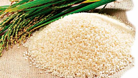 ҒЫЛЫМДЫ ҚОЛДАУ – КЕЛЕШЕКТІ ОЙЛАУ