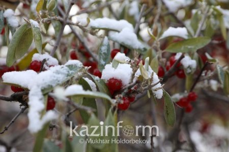 Алдағы күндері ауа райы қандай болады