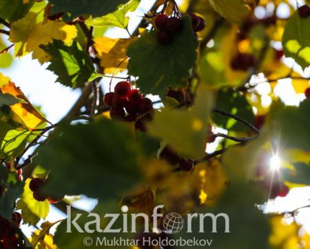 Алдағы тәуліктерде күн 20 градусқа дейін жылынады