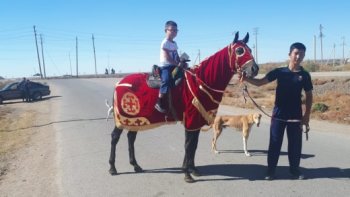 Қармақшыда мүмкіндігі шектеулі жандарды жылқымен емдеуде