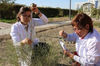 ЖҰҚПАЛЫ АУРУЛАРДЫ АЛДЫН АЛУДЫҢ ЖАҢА ӘДІСІН ҰСЫНАДЫ