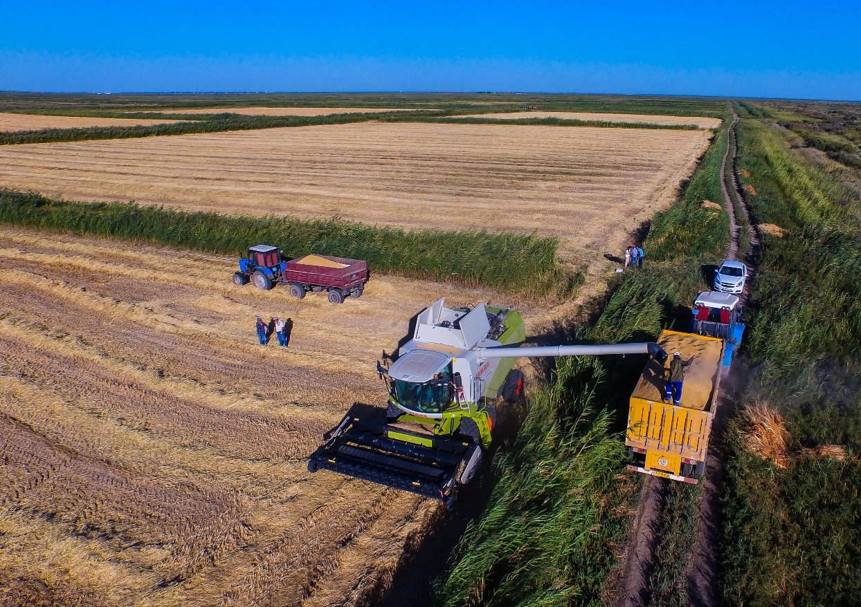 Өнімділікті арттырудың заманауи ауылшаруашылық технологиялары презентация