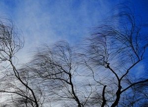 Жел күші 23-28 метр секундқа жетуі мүмкін