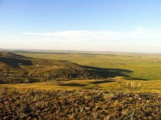 Бағдарламалық мақаланың жалғасы іспетті