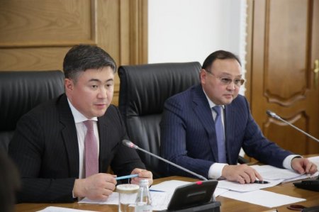 Монополистердің барлығы тарифті арзандатады - министр