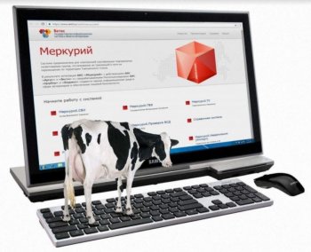 Қызылордада «Mobi-VET» мобильді қосымшасы әзірленді