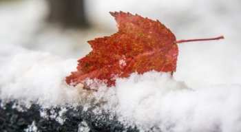 Алдағы күндері ауа райы қандай болады?