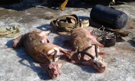 Қызылордалық полицейлер заңсыз аң аулағандарды ұстады