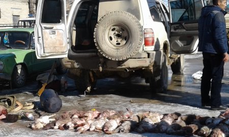 Қызылордалық полицейлер заңсыз аң аулағандарды ұстады