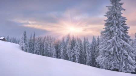 Синоптиктер қаңтар айын қарлы әрі жылы болады деп болжауда